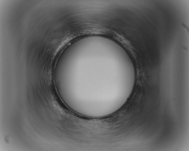 X0000101230012200807111131