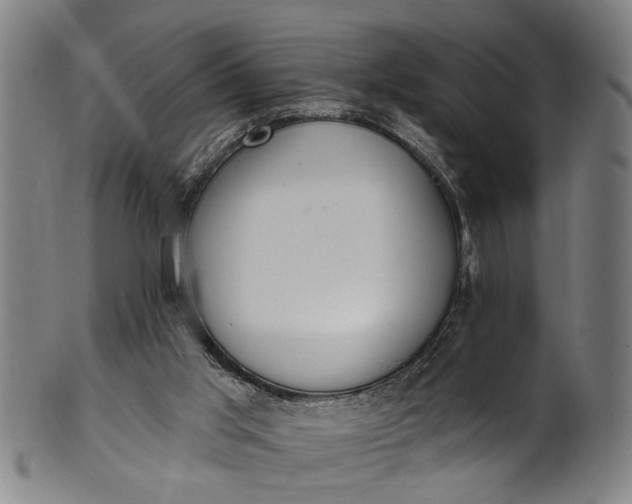 X0000101230013200807111131