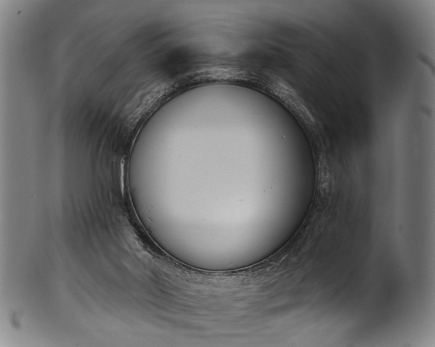 X0000101230014200807111131