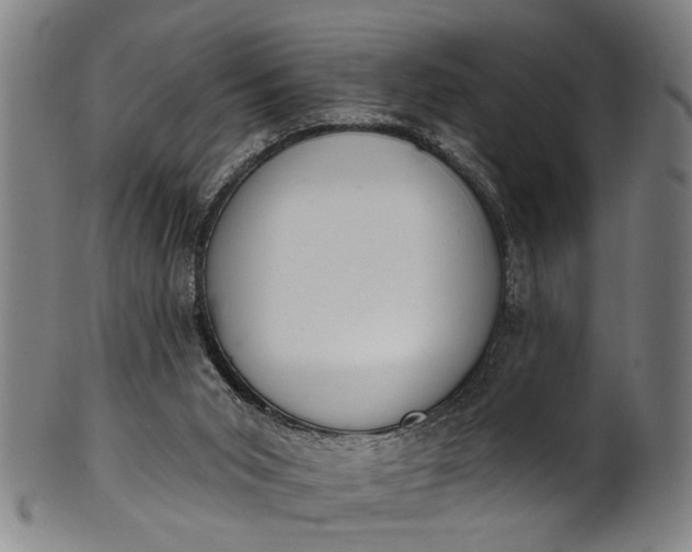 X0000101230015200807111131