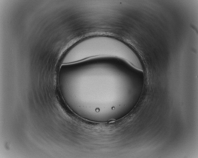 X0000101230016200807111131