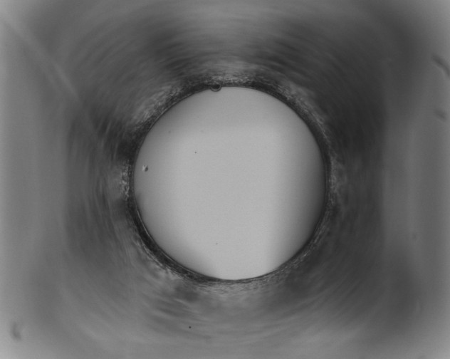 X0000101230017200807111131