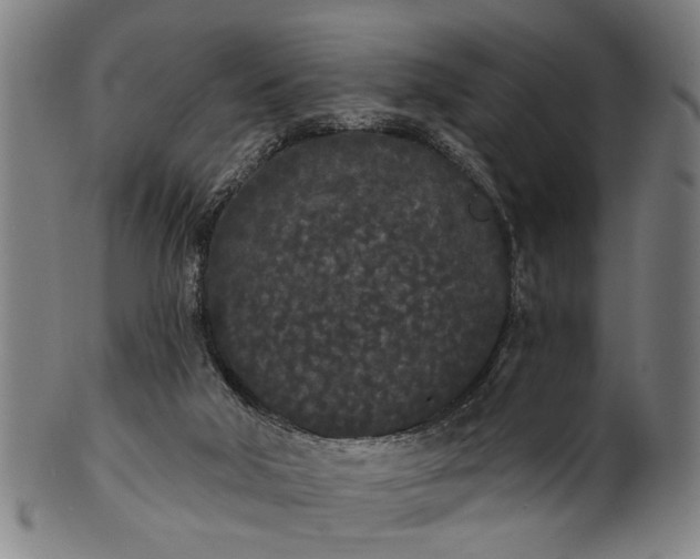 X0000101230018200807111131