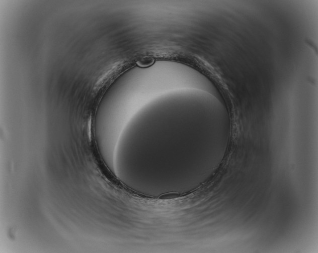 X0000101230019200807111131