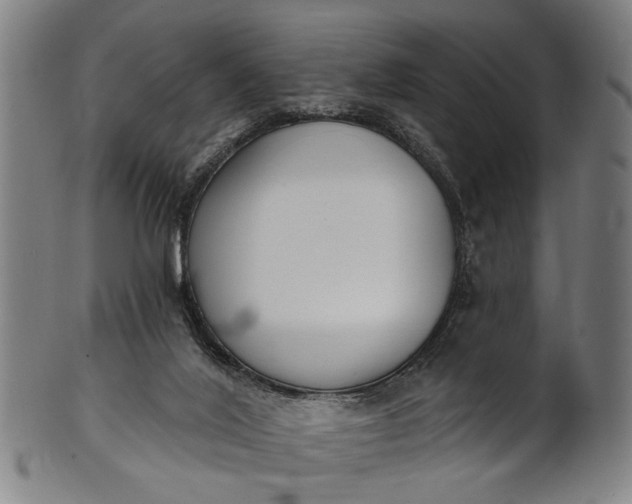 X0000101230020200807111131