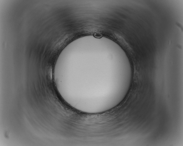 X0000101230021200807111131