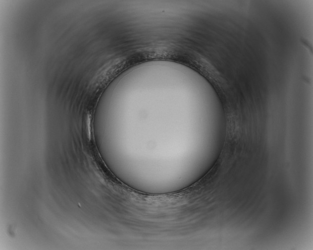 X0000101230022200807111131