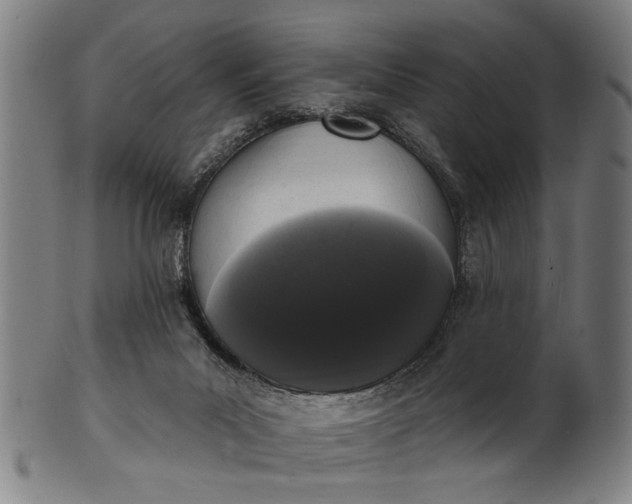 X0000101230023200807111131