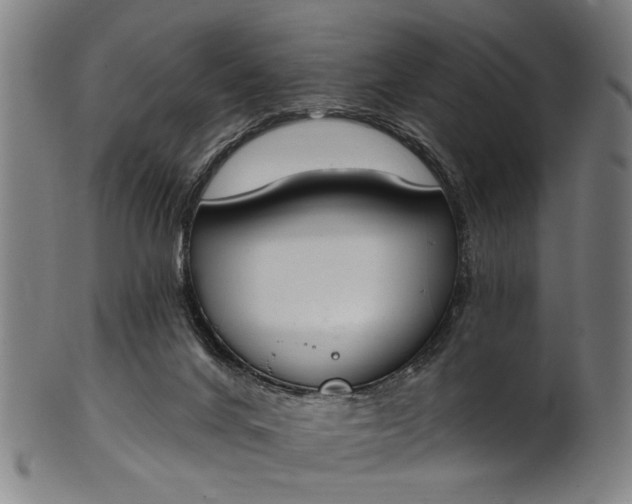 X0000101230024200807111131