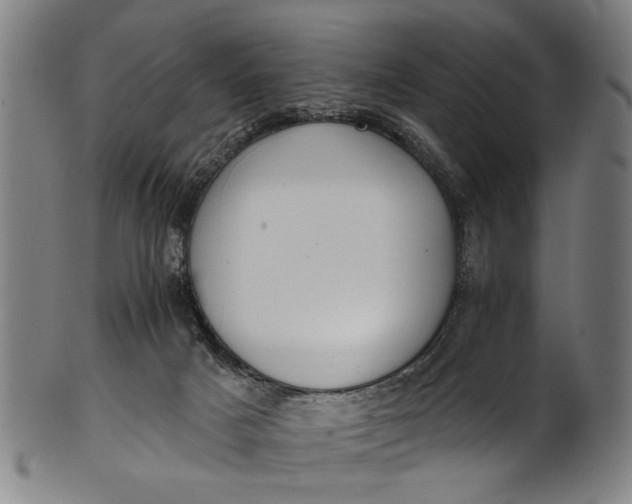 X0000101230025200807111131