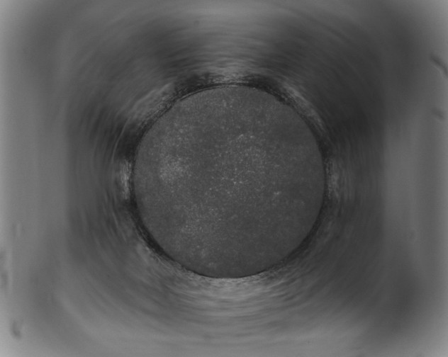 X0000101230026200807111131