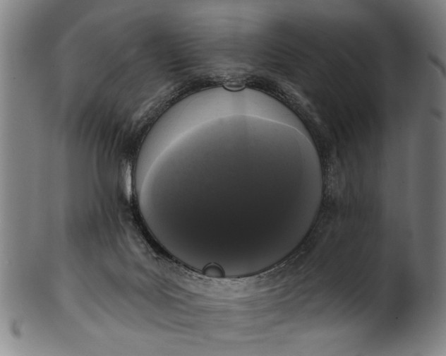 X0000101230027200807111131