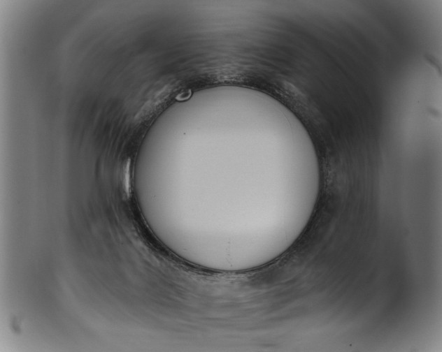 X0000101230028200807111131