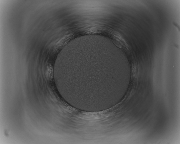 X0000101230029200807111131