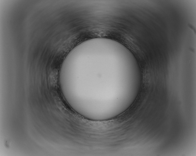 X0000101230030200807111131