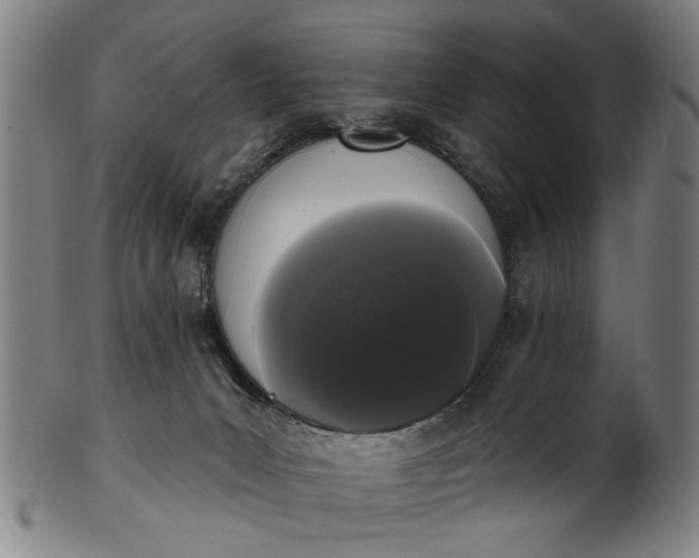 X0000101230031200807111131