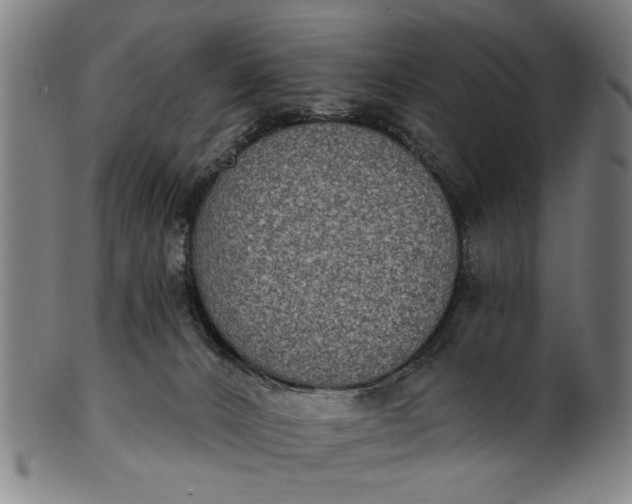 X0000101230032200807111131