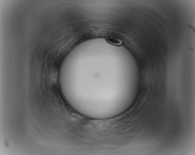 X0000101230033200807111131