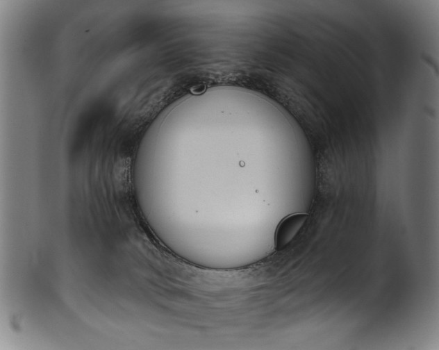 X0000101230034200807111131