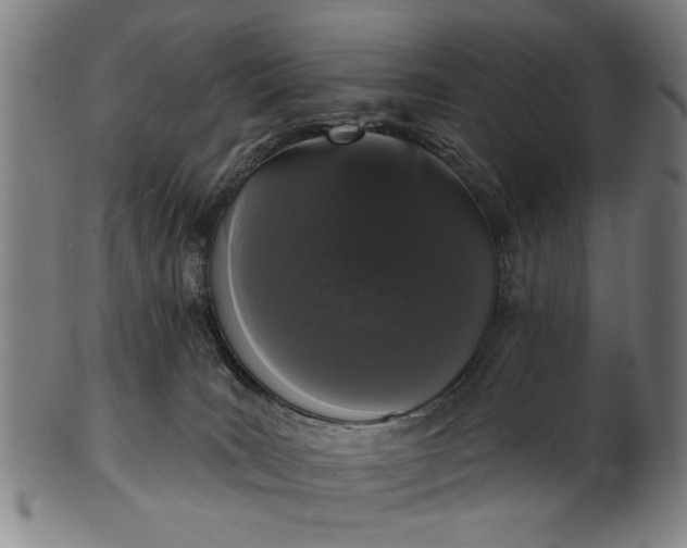 X0000101230035200807111131