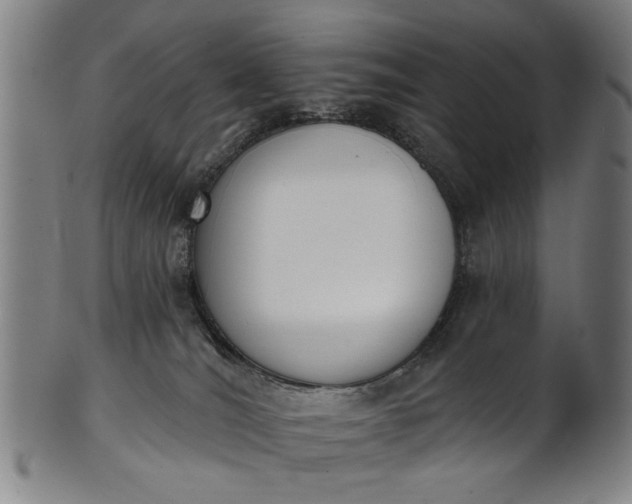 X0000101230036200807111131