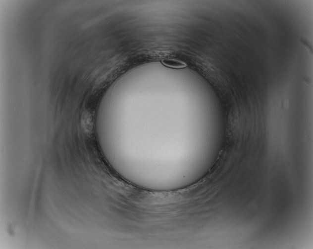 X0000101230037200807111131