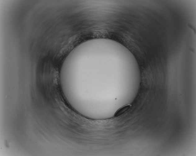 X0000101230038200807111131