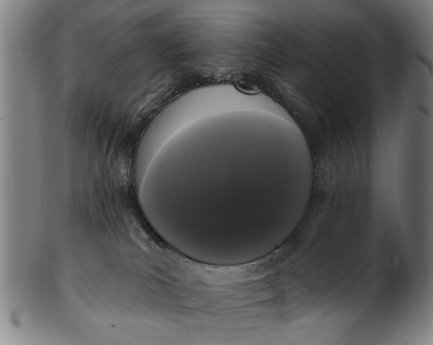 X0000101230039200807111130