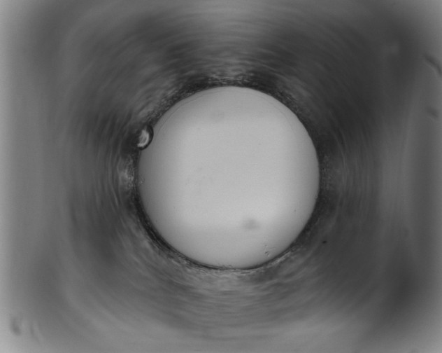 X0000101230040200807111130