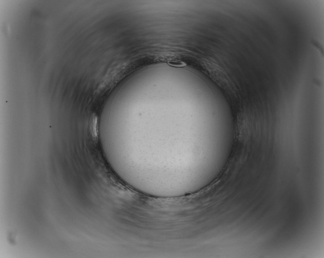 X0000101230041200807111130