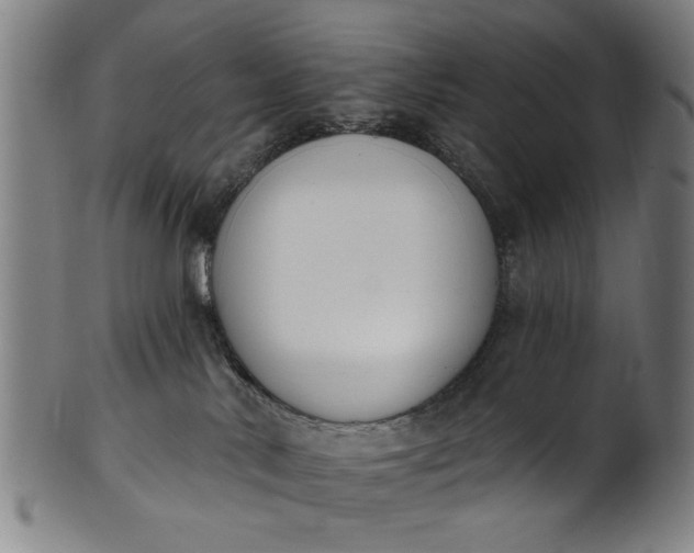 X0000101230042200807111130