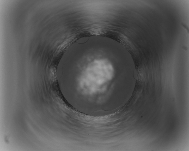 X0000101230043200807111130