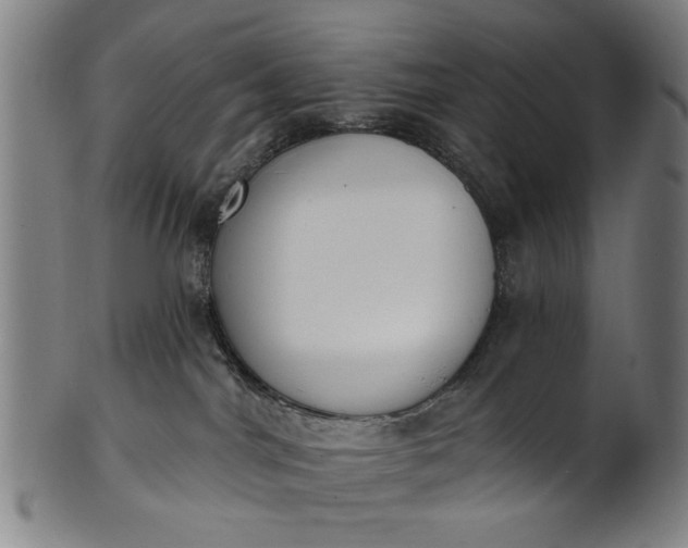 X0000101230044200807111130