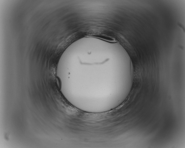 X0000101230045200807111130