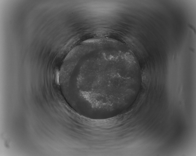 X0000101230046200807111130