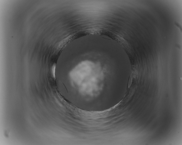 X0000101230047200807111130