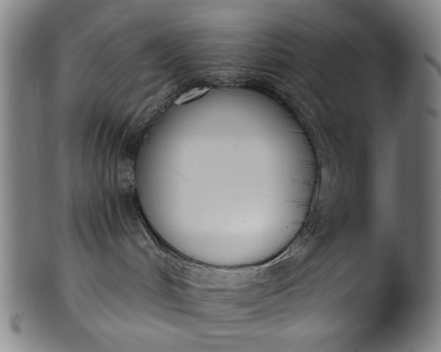 X0000101230048200807111130