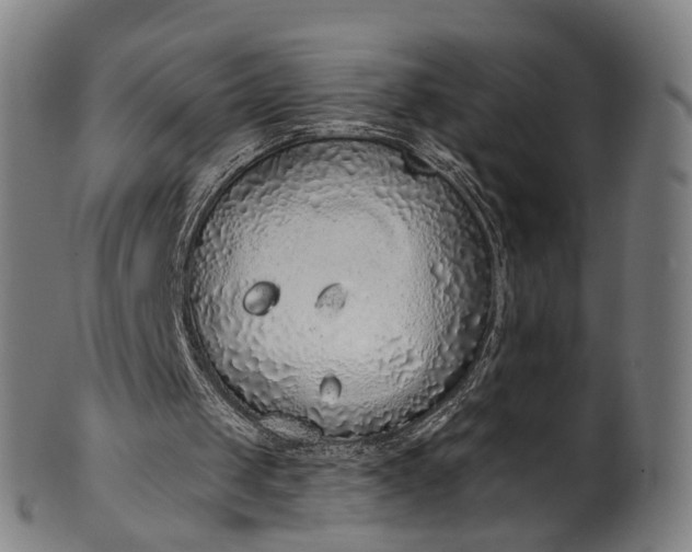 X0000101230049200807111130