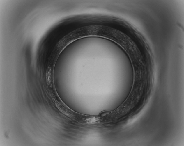 X0000101230050200807111130