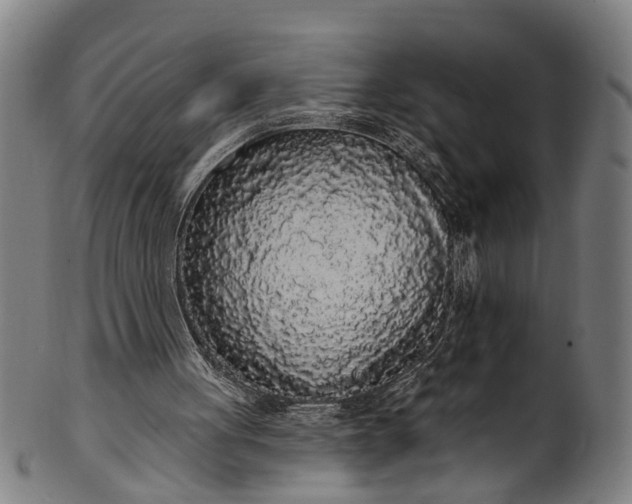 X0000101230051200807111130