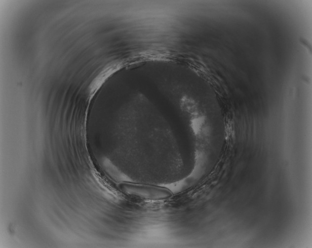 X0000101230052200807111130