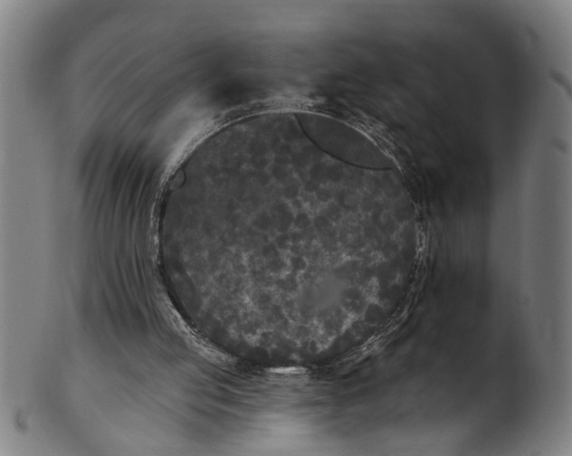 X0000101230053200807111130