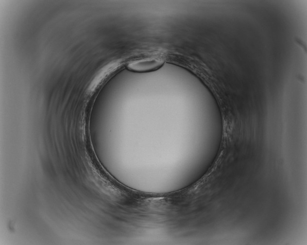 X0000101230054200807111130