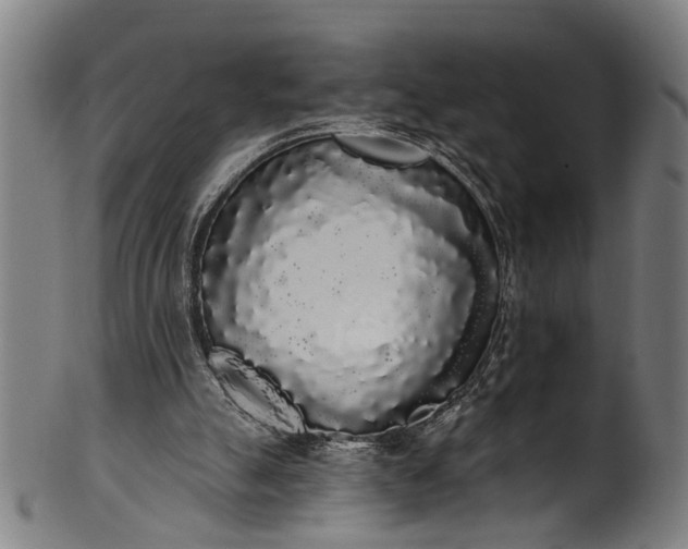 X0000101230055200807111130