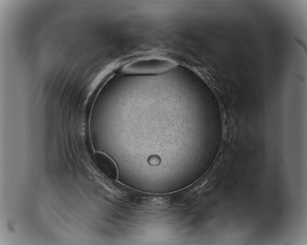 X0000101230056200807111130