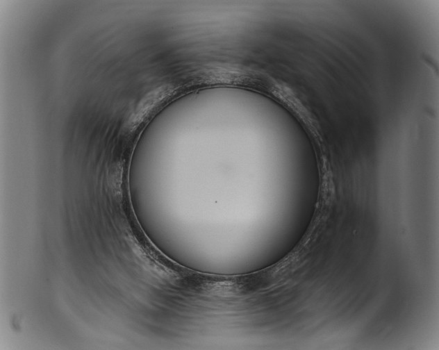 X0000101230058200807111130