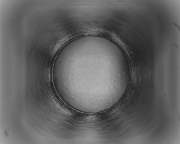 X0000101230059200807111130