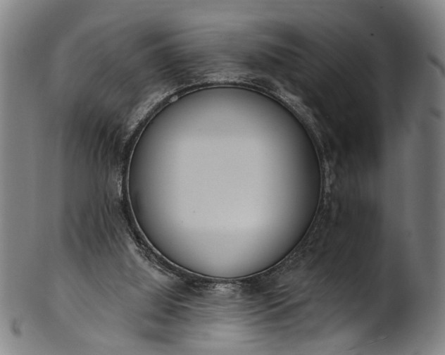 X0000101230060200807111130