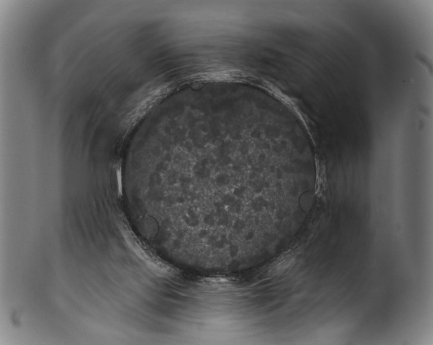 X0000101230061200807111130