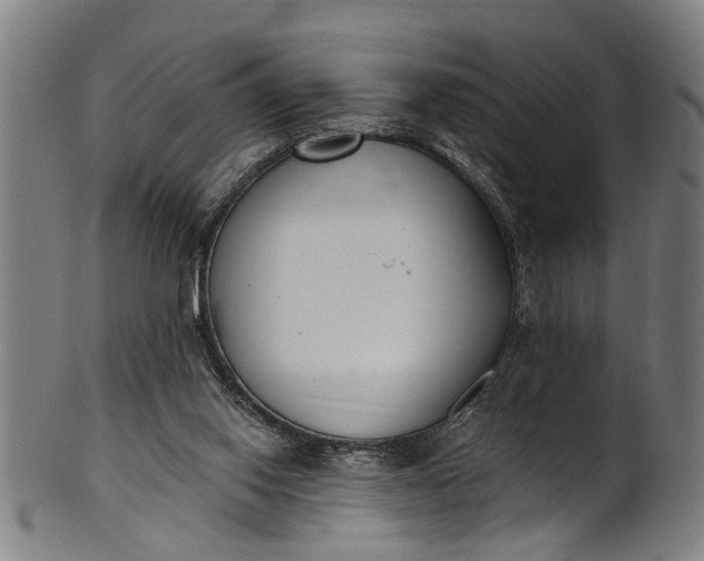 X0000101230062200807111130